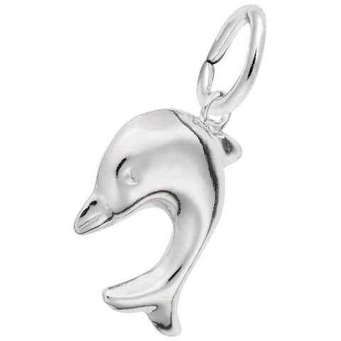 Diving Dolphin Charm