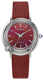 Citizen Eco Drive