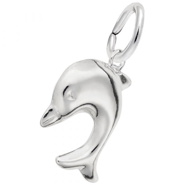Diving Dolphin Charm