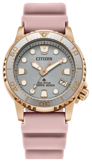 Citizen Eco-Drive Divers Watch