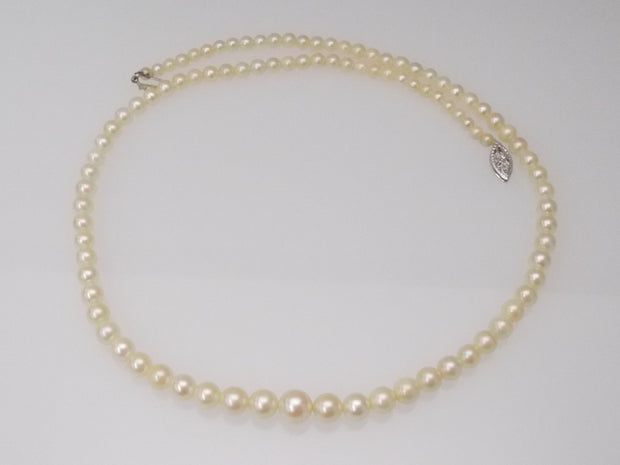 17 Inch Rose' Akoya Pearls