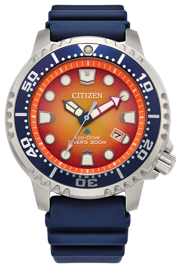 Citizen Eco-Driver Diver's Watch