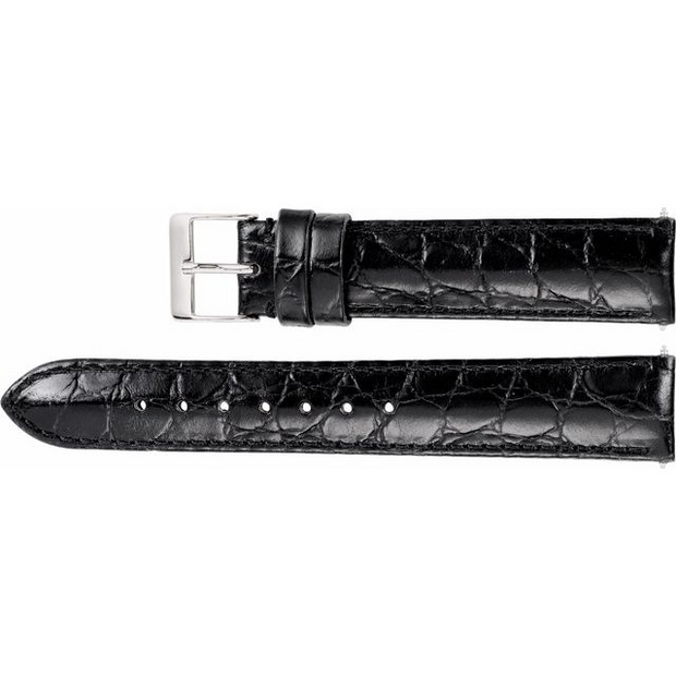 ** Watch Band